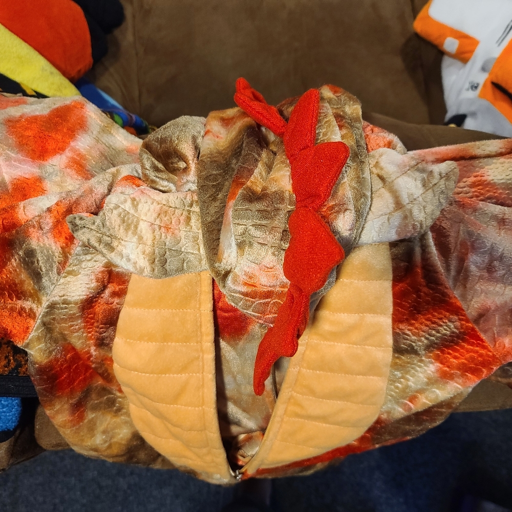 Dragon costume